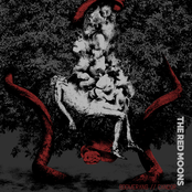 Boomerang // Candor - Single