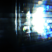 Mammuthus Primigenius