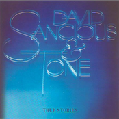 David Sancious: True Stories