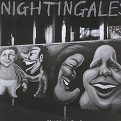 Bachelor Land by The Nightingales