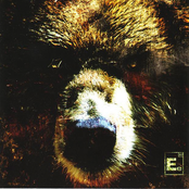 Boars by Element Eighty