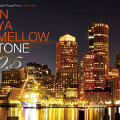 In Ya Mellow Tone 9.5