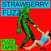 Strawberry Fuzz: Fuzz Tapes, Vol. 1