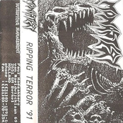 Ripping Terror