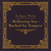 Bellowing Sea - Racked By Tempest