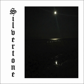 Silvertone
