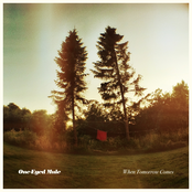 Move With You To The Country by One-eyed Mule