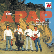 Valse Triste by Gilles Apap & The Transylvanian Mountain Boys