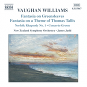 Vaughan Williams: VAUGHAN WILLIAMS: Fantasias / Norfolk Rhapsody / In the Fen Country / Concerto Grosso