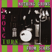 Nothing grows from scars