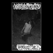 Transcendence of Perversity