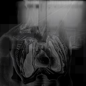 Happiness Is (The Consciousness of Death at Work)