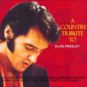 A Country Tribute To Elvis Presley