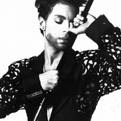 Pop Life by Prince & The Revolution