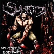 Suhrim - Unidentified Flying Bodyparts (2021 Version)