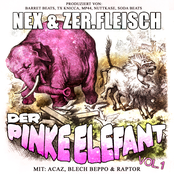 Der pinke Elefant Vol. 1
