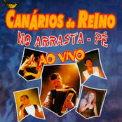 No arrasta-pé ao vivo
