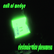 electronic voice phenomena