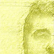 Everythings gone orange