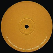 Universal Indicator Yellow