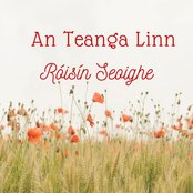 An Teanga Linn - Single