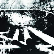 Amongst The Pines, Beside The Stream