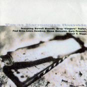 Texas Harmonica Rumble