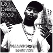 Any Type Of Way by Big Daddy Kane