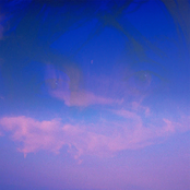 Nokturnalne Aktivnosti