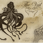 The Undertow by The Veil
