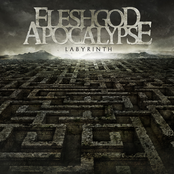 Kingborn by Fleshgod Apocalypse