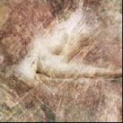 Penumbra over Beauty