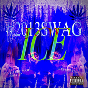 ICE #2013SWAG