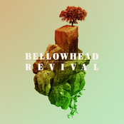 Roll Alabama by Bellowhead