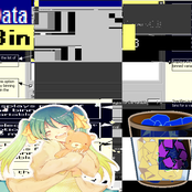 data.bin