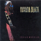 Needs Must by Havana Black