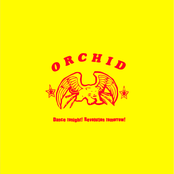 Dance Tonight! Revolution Tomorrow!