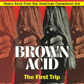 Brown Acid - The First Trip