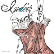 Indie/Rock Playlist: January (2011)