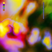 desperate flower (single)