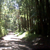 mycriesfallondeafears / Fear of Horses