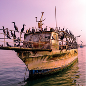 Beto Bruno no Estúdio Showlivre (Ao Vivo)