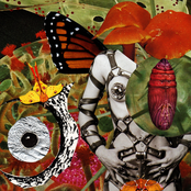 We Are Sacred Energy