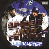 spice 1 & jayo felony