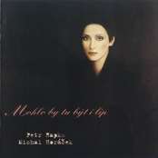 Mohlo by tu být i líp