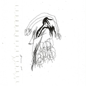 the smallest snowstorm on record