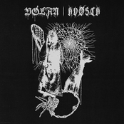 Vólan / HVØSCH - split