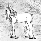 I Look the Unicorn in the Eyes