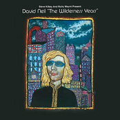 David Neil: The Wilderness Years