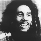 Marley,bob